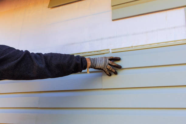 Best Vinyl Siding Installation  in USA